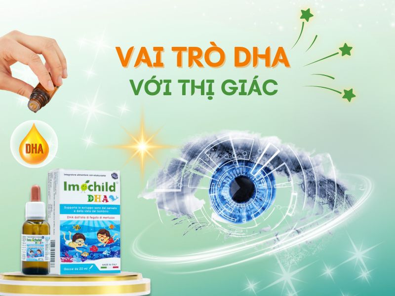 Vai trò của DHA đối với trí não, thị giác và hệ miễn dịch của trẻ 3 Hình ảnh vai trò của DHA đối với thị giác của trẻ