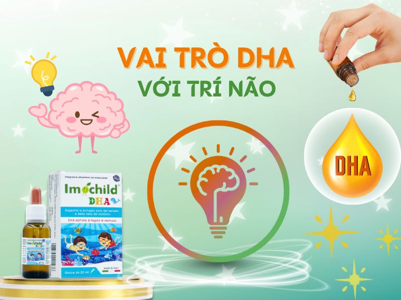 Vai trò của DHA đối với trí não, thị giác và hệ miễn dịch của trẻ 2 Hình ảnh vai trò của DHA đối với trí não của trẻ