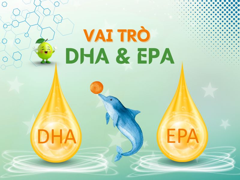 Vai trò của DHA đối với trí não, thị giác và hệ miễn dịch của trẻ 5 Hình ảnh vai trò của DHa và EPA đối với trẻ