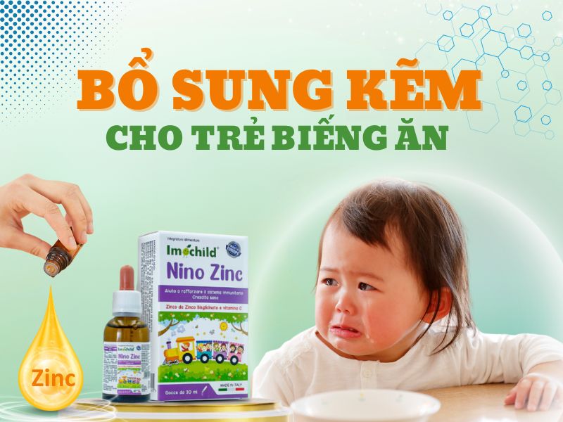6 Thực phẩm giàu kẽm giúp trẻ ăn ngon tự nhiên 3 Hình ảnh bổ sung kẽm cho trẻ biếng ăn