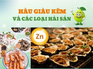 Hình ảnh hàu giàu kẽm - Thực phẩm giàu kẽm giúp trẻ ăn ngon